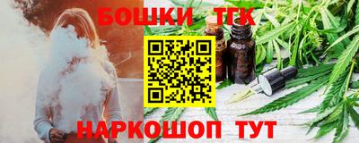 стаф Камышлов