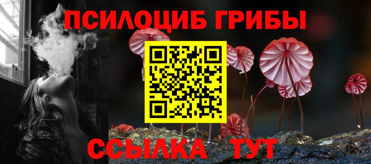 Псилоцибиновые грибы Cubensis  Вход с VPN  Псилоцибиновые грибы Psilocybe  Миллерово 